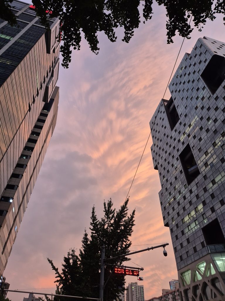 Pink summer sunset between city buildings in Seoul in August