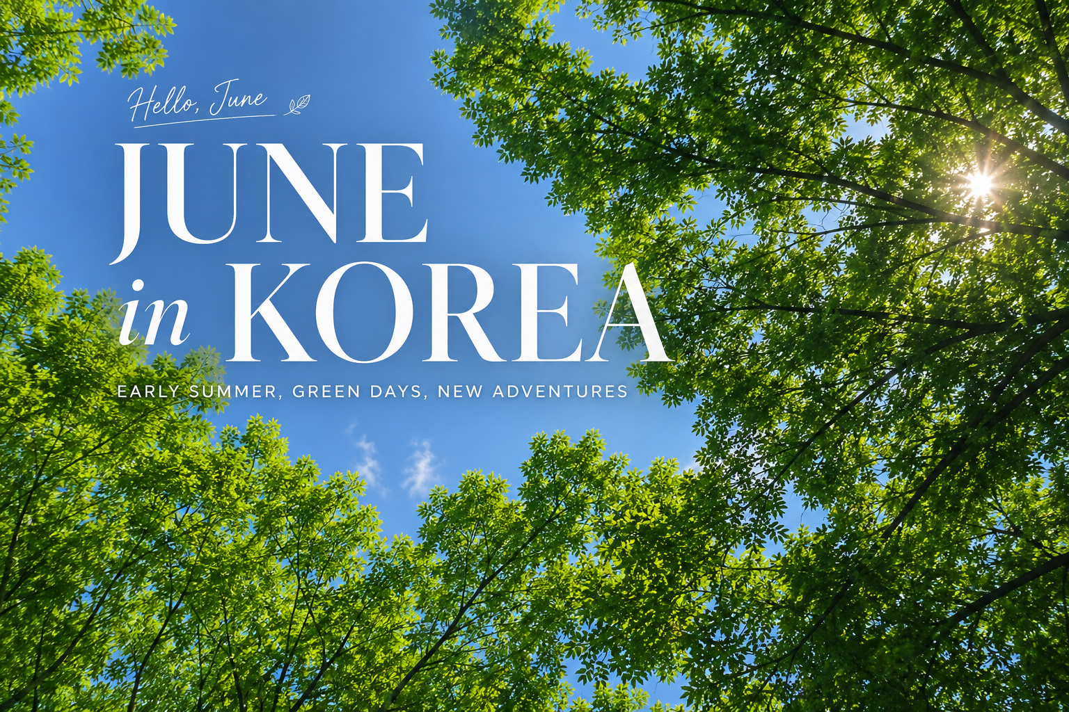 Lush green trees and blue sky on a sunny June day in Seoul