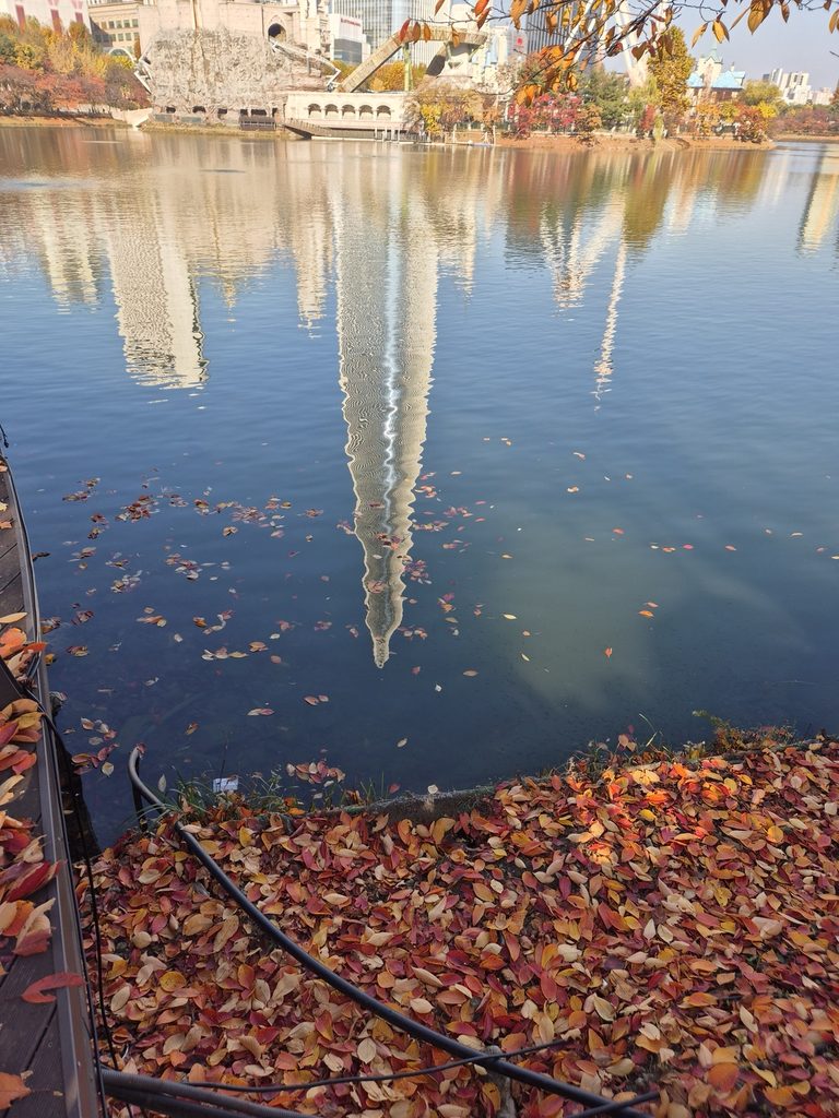Fallen autumn leaves beside Seokchon Lake in Seoul