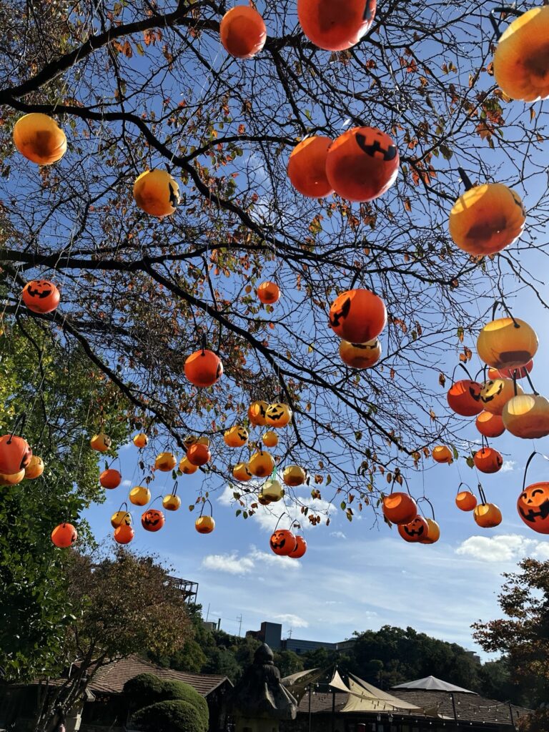 Halloween pumpkin decorations hanging from trees on a sunny autumn day in Korea