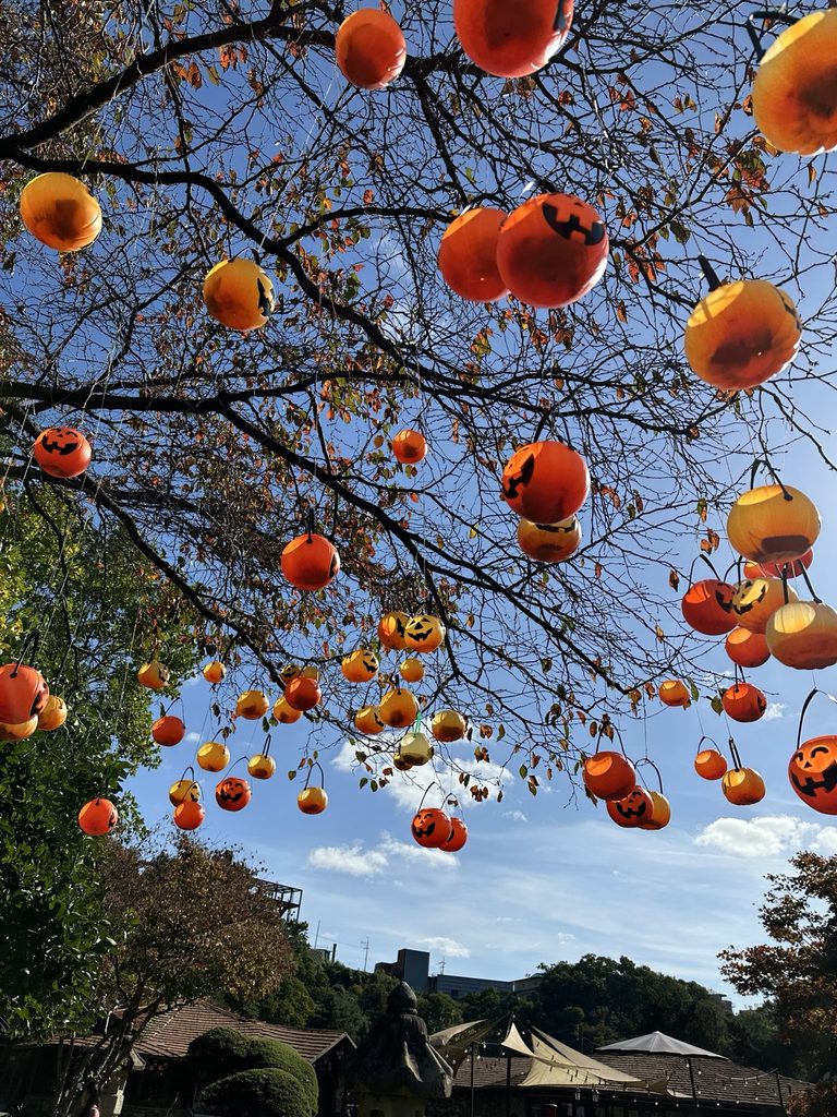 Halloween pumpkin decorations hanging from trees in Korea in October