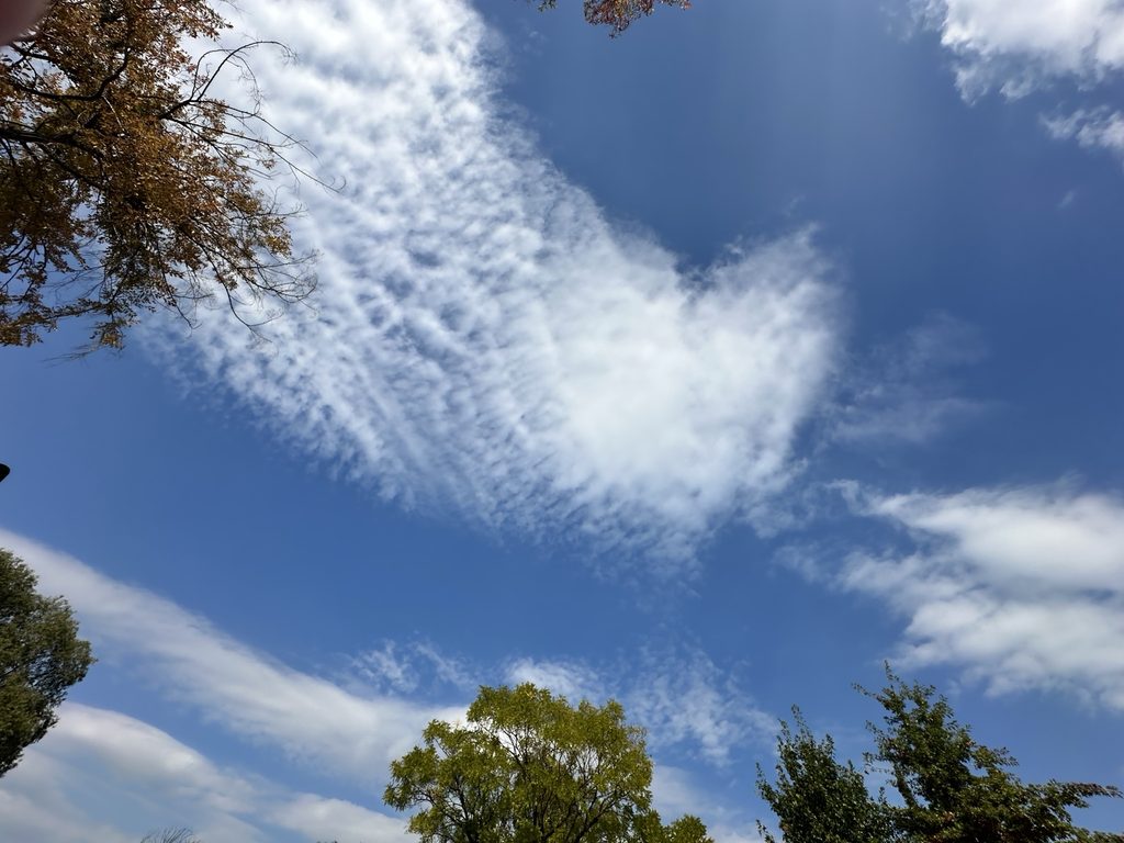 Bright blue autumn sky with wispy white clouds and trees at Banpo Hangang Park in Seoul.