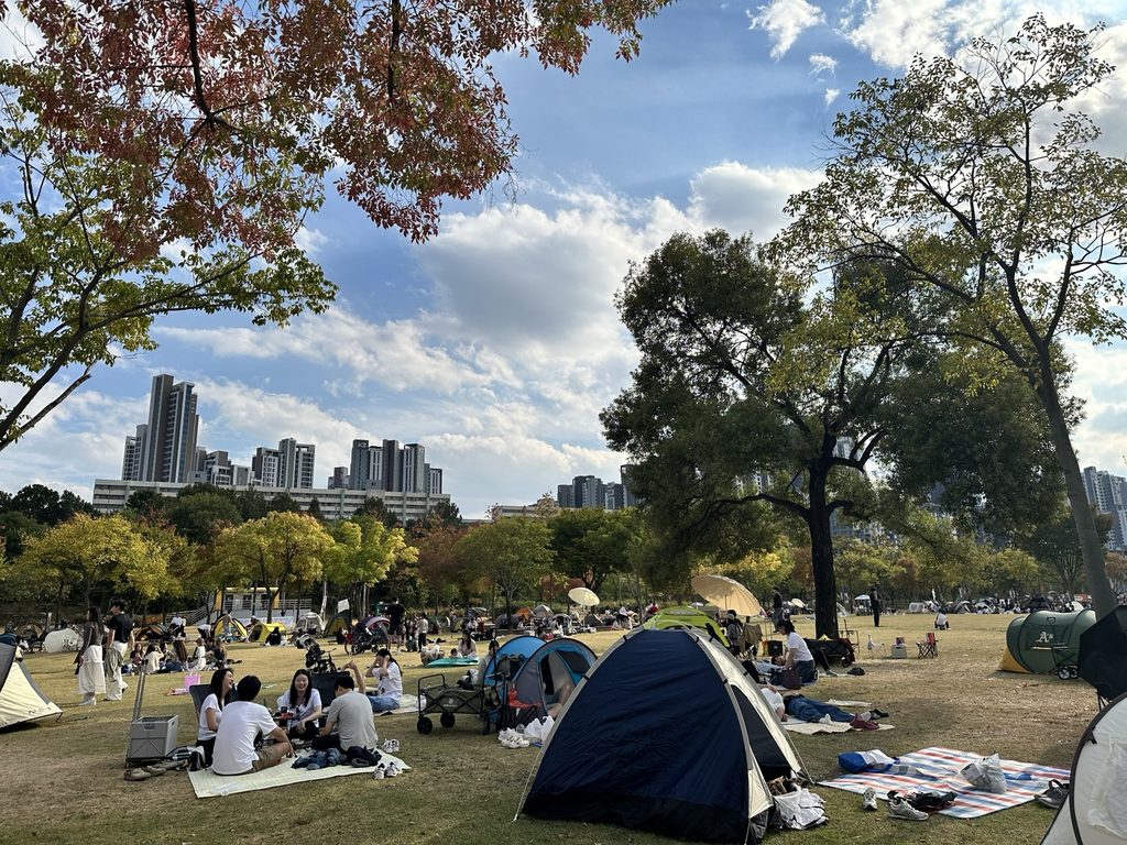 Visitors enjoying picnics on the grassy lawn at Banpo Hangang Park in Seoul, with picnic mats, small shade tents, and autumn trees.