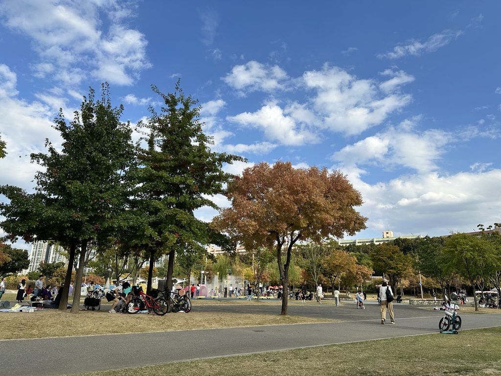 Autumn picnic lawns and paved cycling paths at Banpo Hangang Park in Seoul