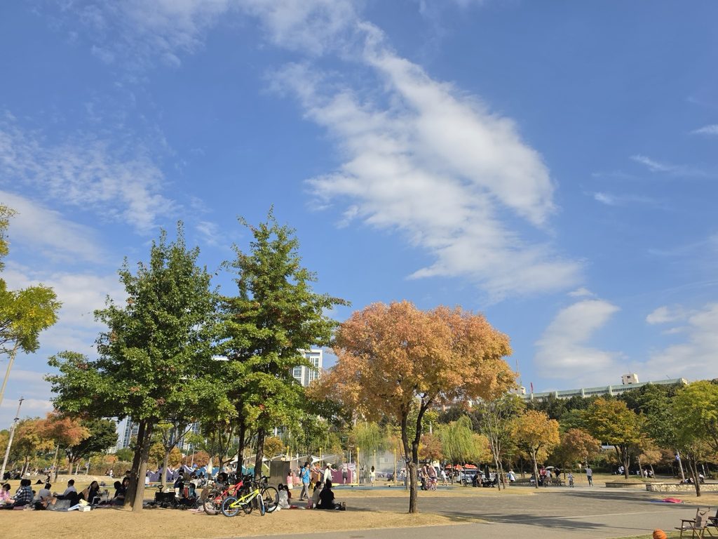 Families relaxing on grassy lawns beside paved paths and autumn trees at Banpo Hangang Park in Seoul.